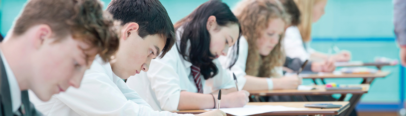 Using AEAS Testing for all students from non-English speaking backgrounds